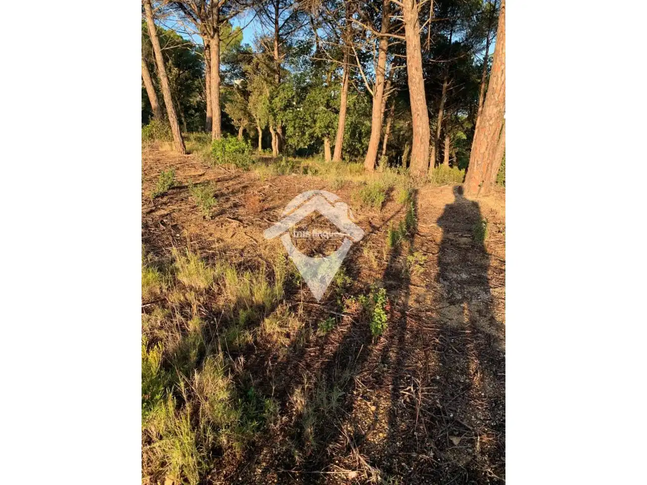 Terreno industrial en venta en Fogars de la Selva