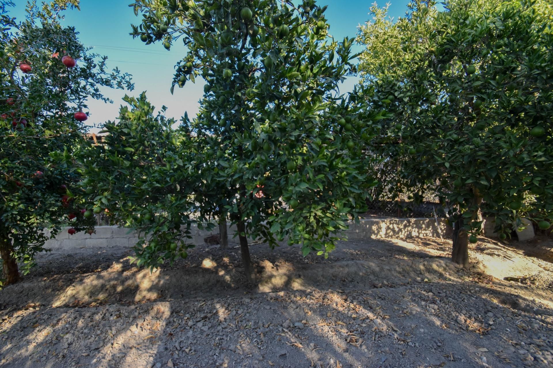 Finca rústica en venda en Atarfe