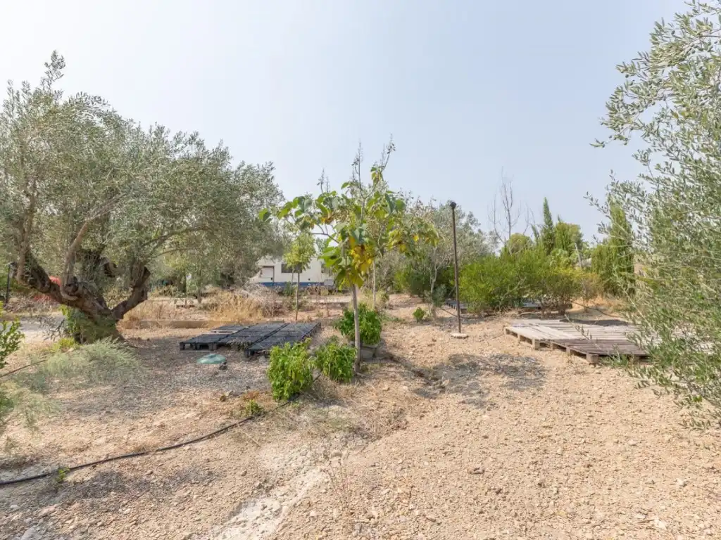 Casa o chalet en venta en Alborache