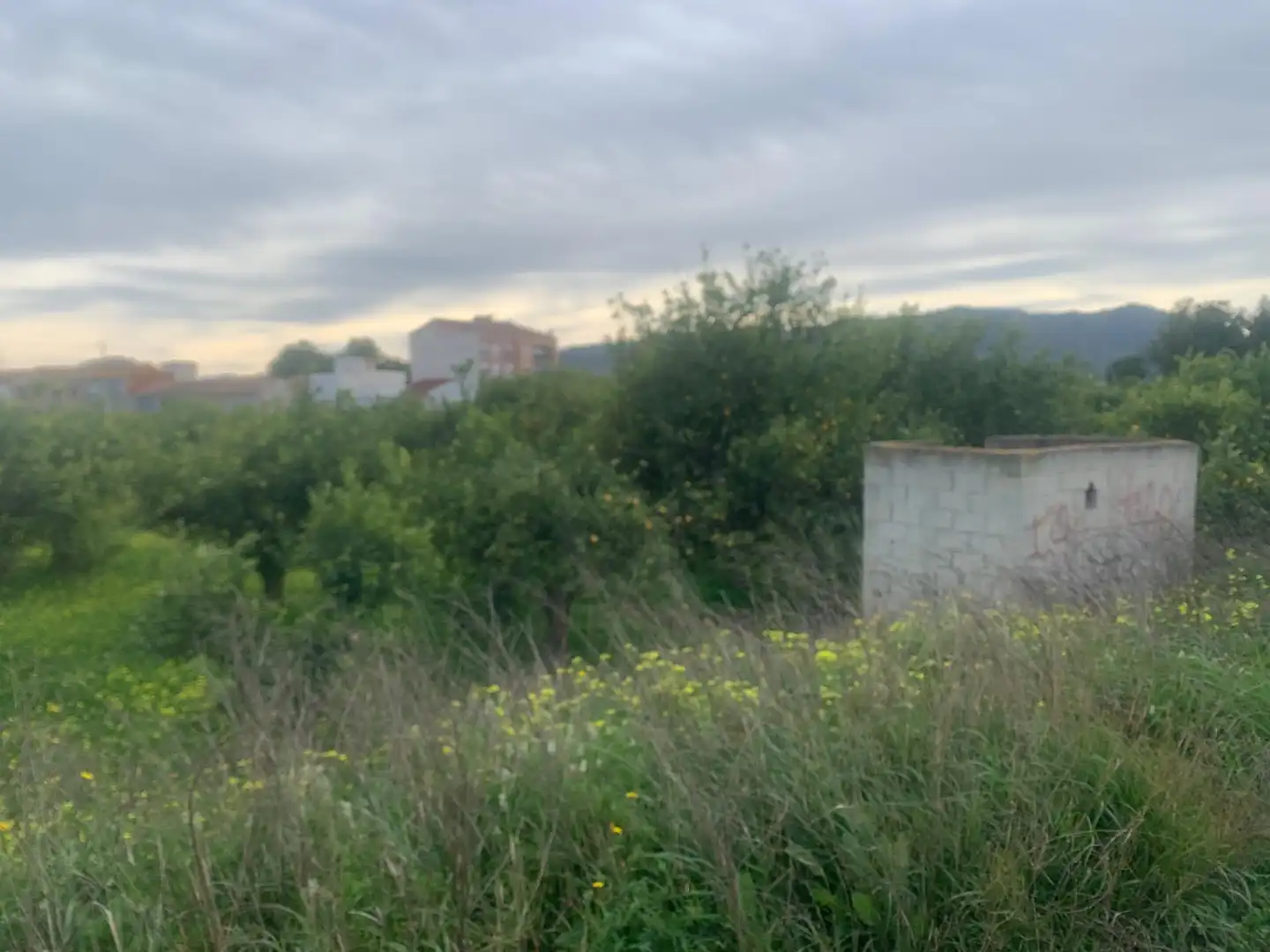 Terrenys i solars en venda a Pedanías Este, imagen 2