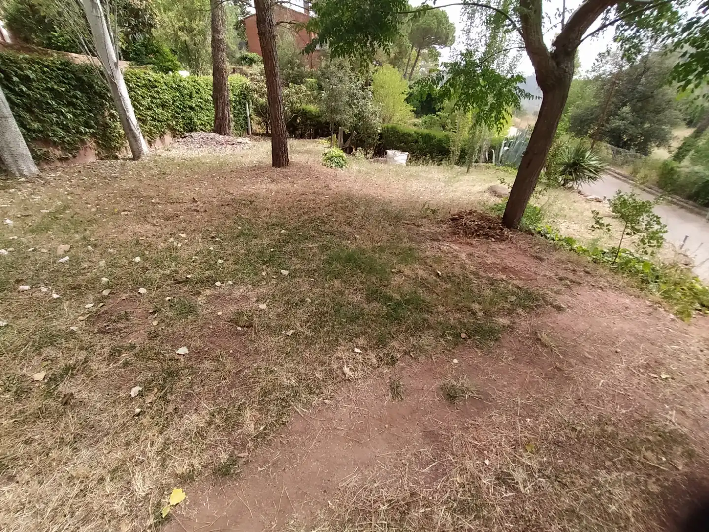 Terreny residencial en venda a Corbera de Llobregat, imagen 8