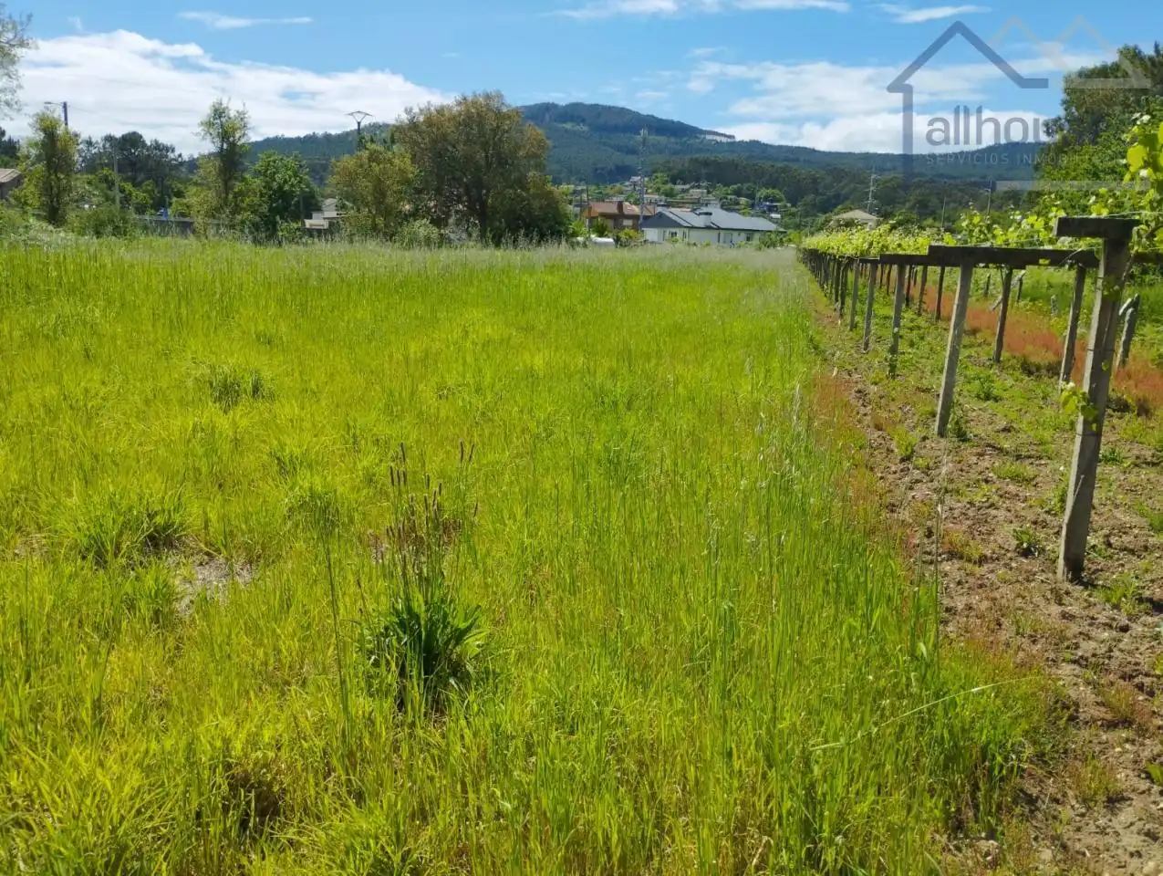 Terreno residenziale in vendita a O Rosal, imagen 10