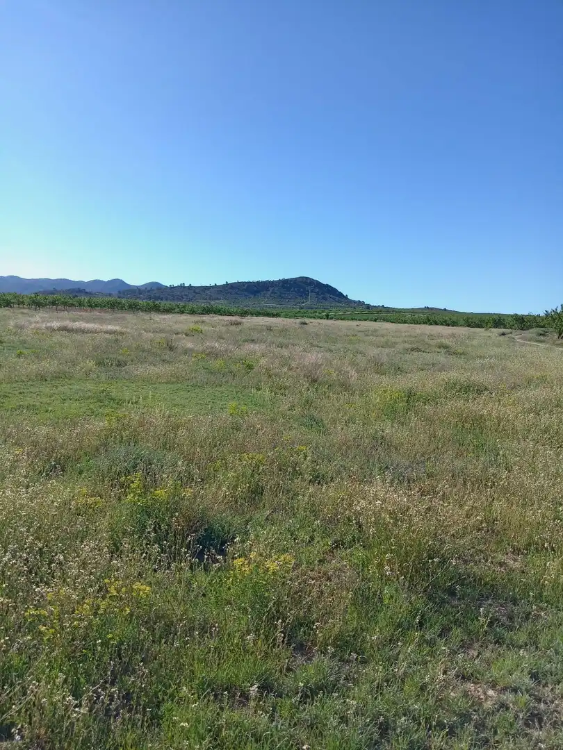 Lands and plots for sale in Ricote, imagen 4