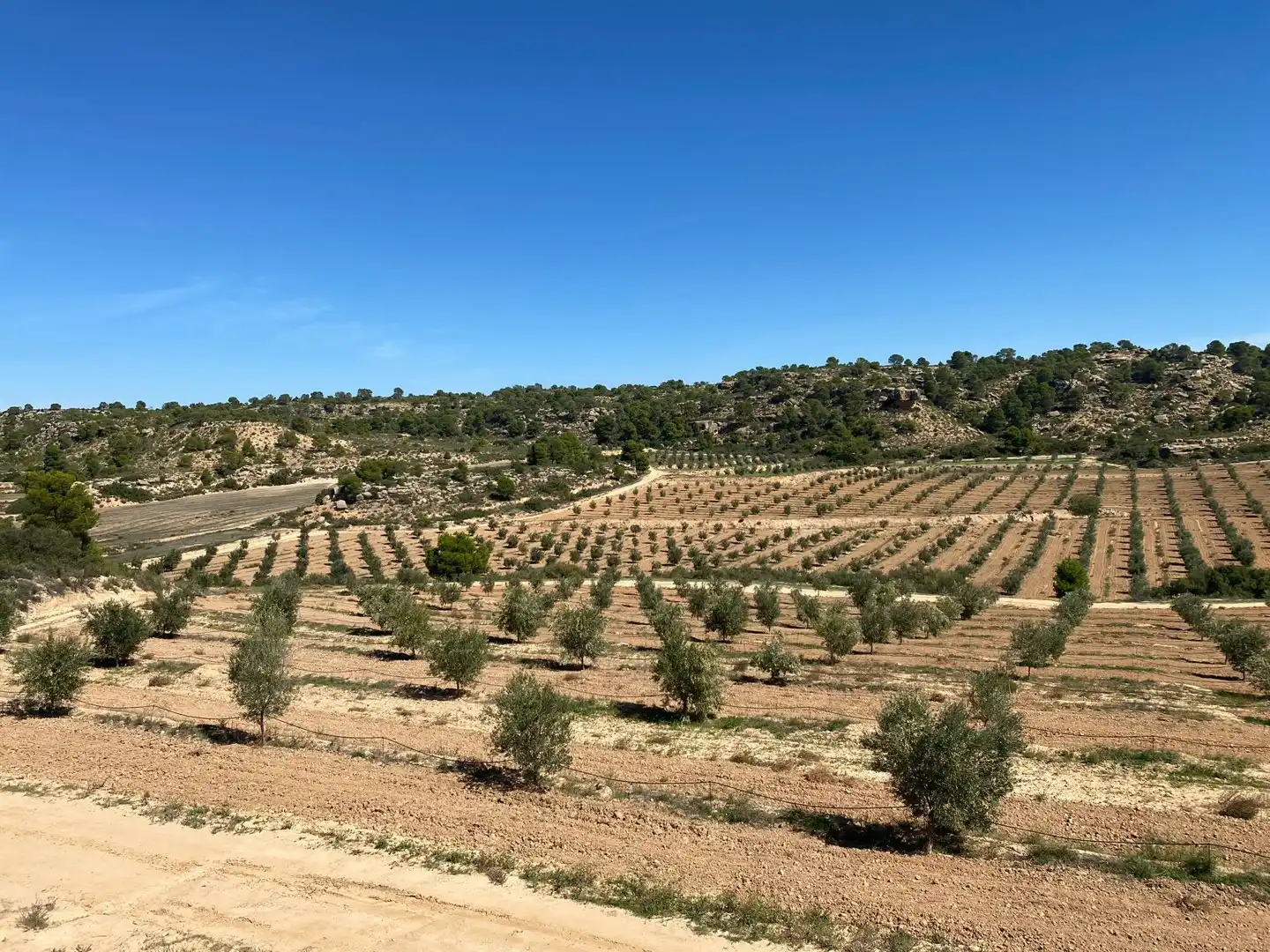 Casa o chalet en venta en Alcañiz con Terraza