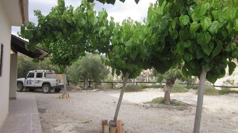 Foto 4 de Finca rústica en venda a Pasaje de Abanilla, 11, Abanilla, Murcia