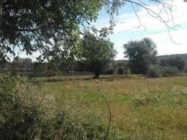 Terreno residenziale in vendita a ZARZALES 19