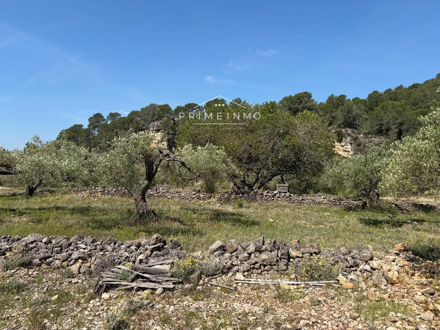 Terreno rústico en venta en L'Ametlla de Mar pueblo, imagen 13