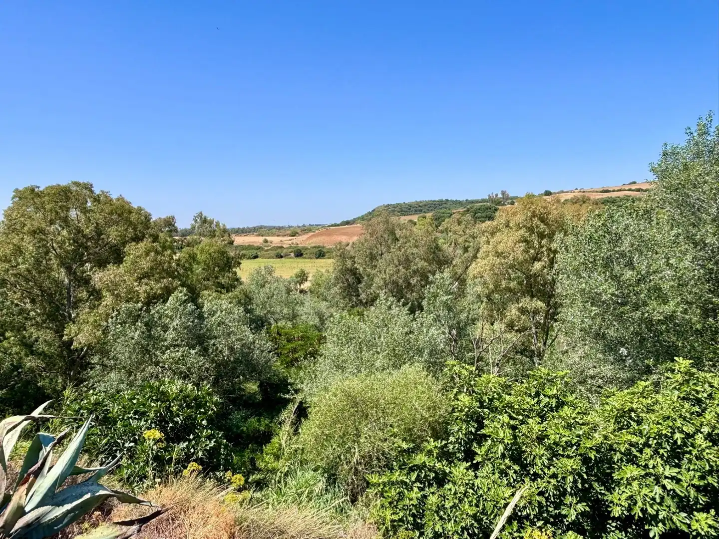 Grundstücke zum Verkauf in Arcos de la Frontera