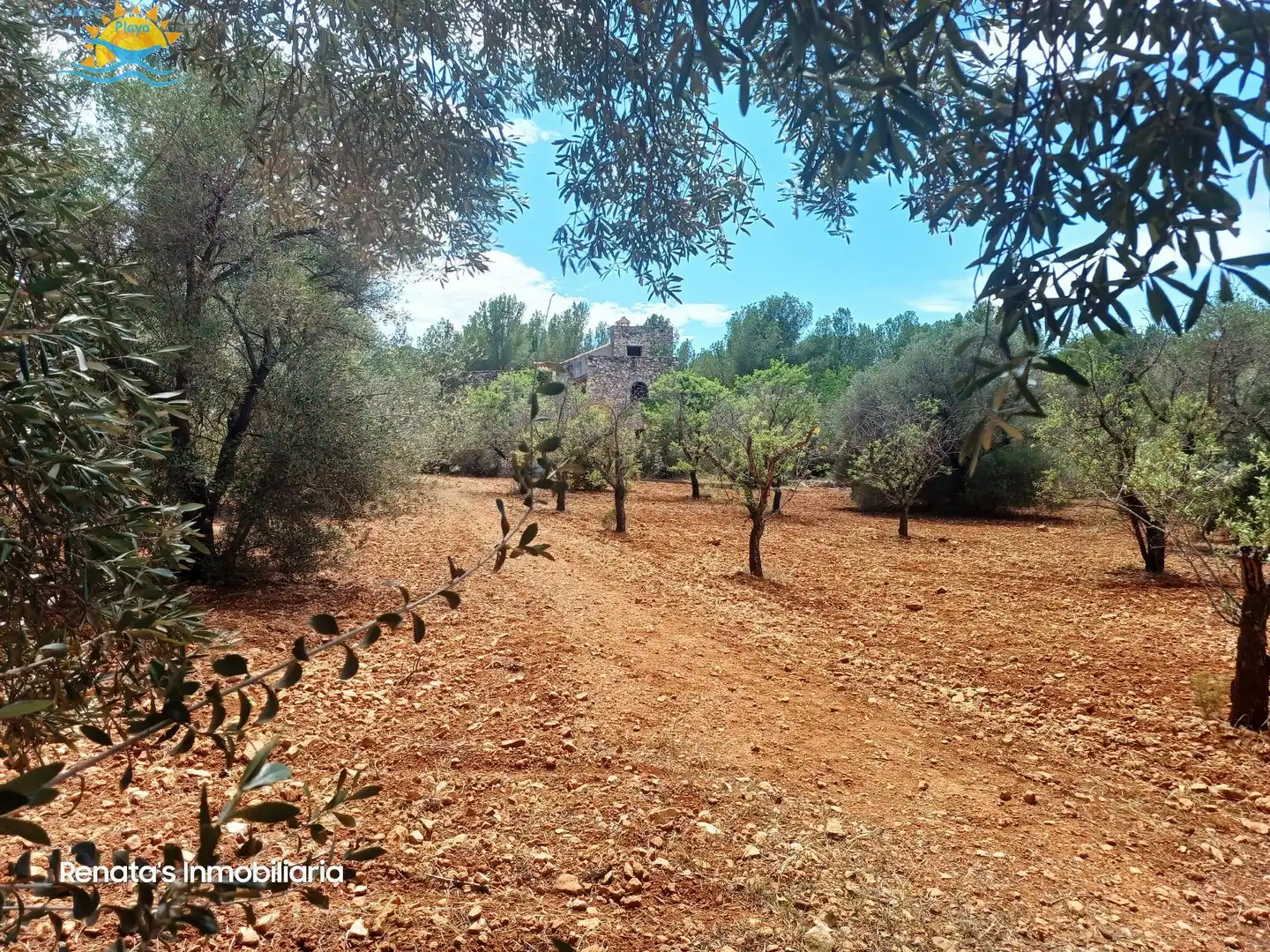 Finca rústica en venta en PEÑISCOLA, Las Atalayas - Urmi - Cerro de Mar