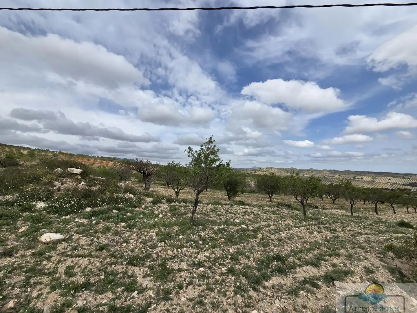 Terrenys i solars en venda a Albox, imagen 16