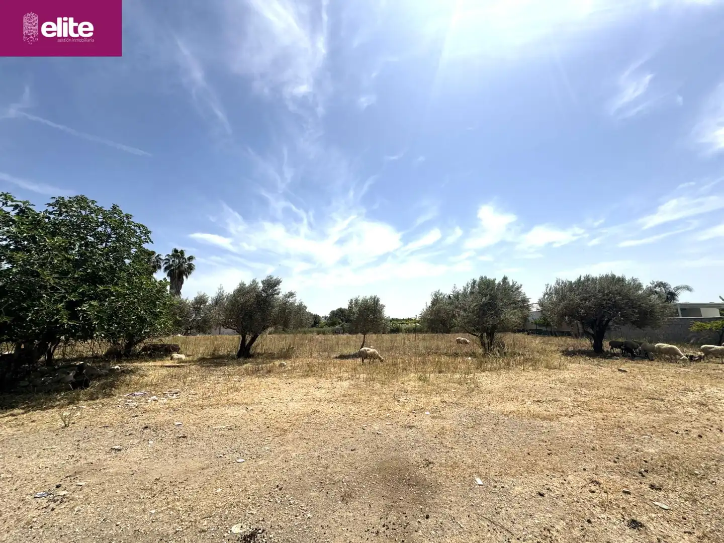 Residential for sale in Pozoalbero