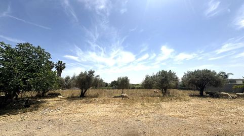 Foto 5 de Residencial en venda a Pozoalbero, Jerez de la Frontera