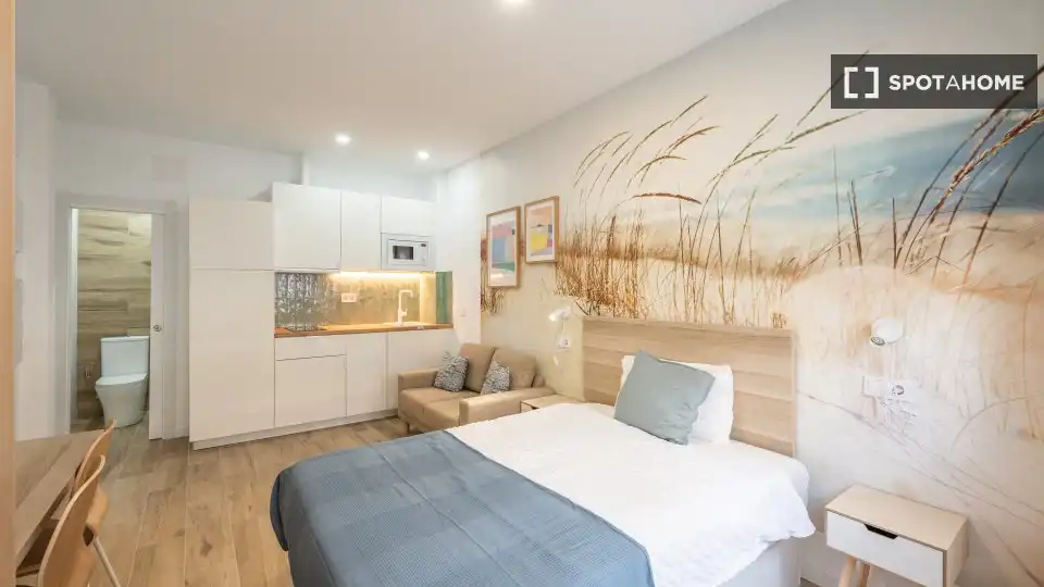 Habitación de Estudio para compartir en Madrid con Aire acondicionado, Calefacción y Terraza