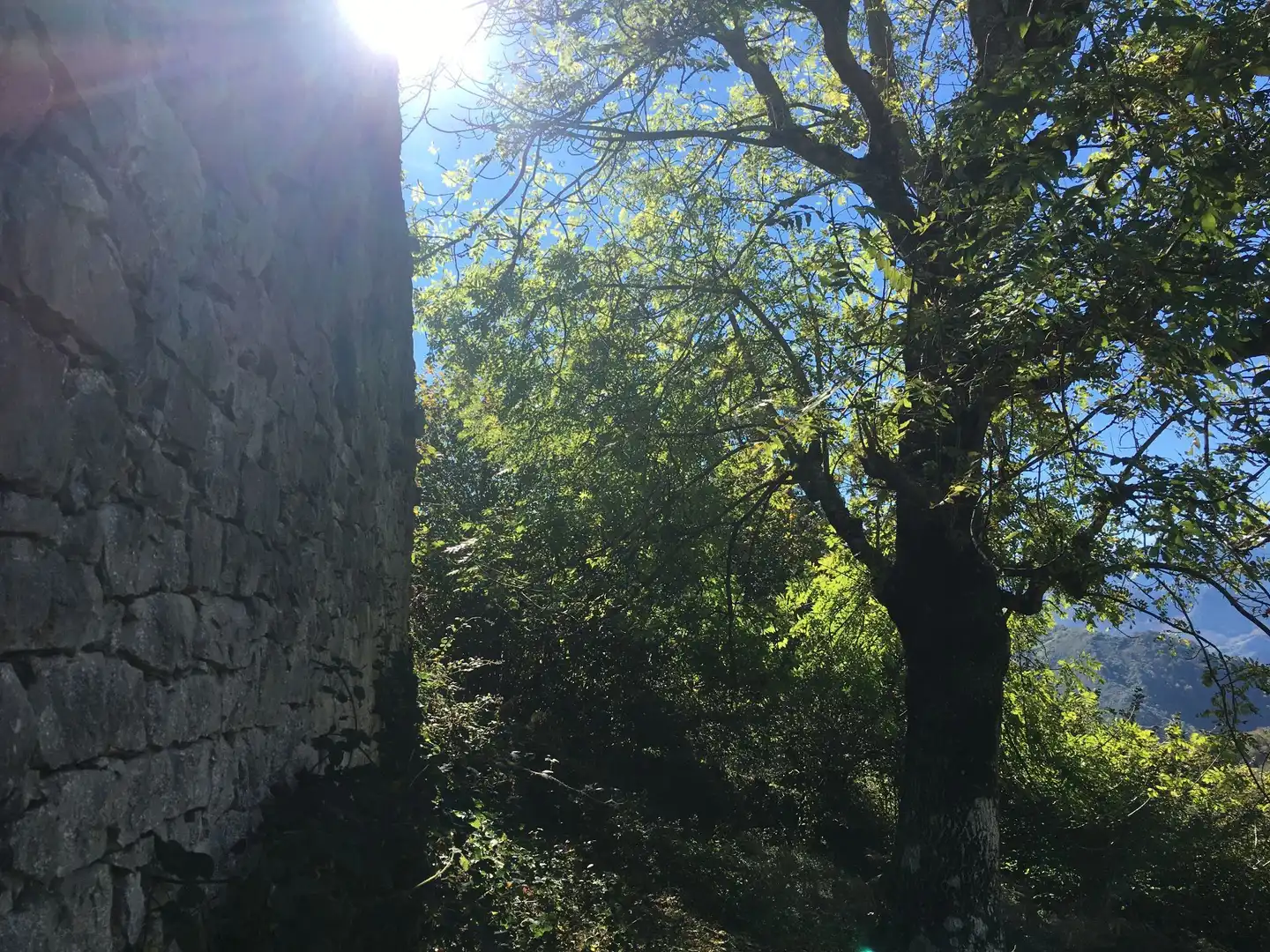 Terreno rustico in vendita a Cangas de Onís, imagen 10