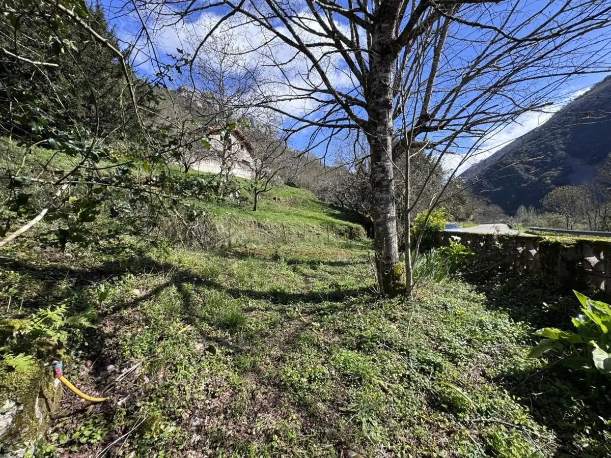 Country homes for sale in Peñamellera Alta  with Private garden