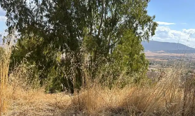 Terreno residencial en venta en Calle de León, imagen 6