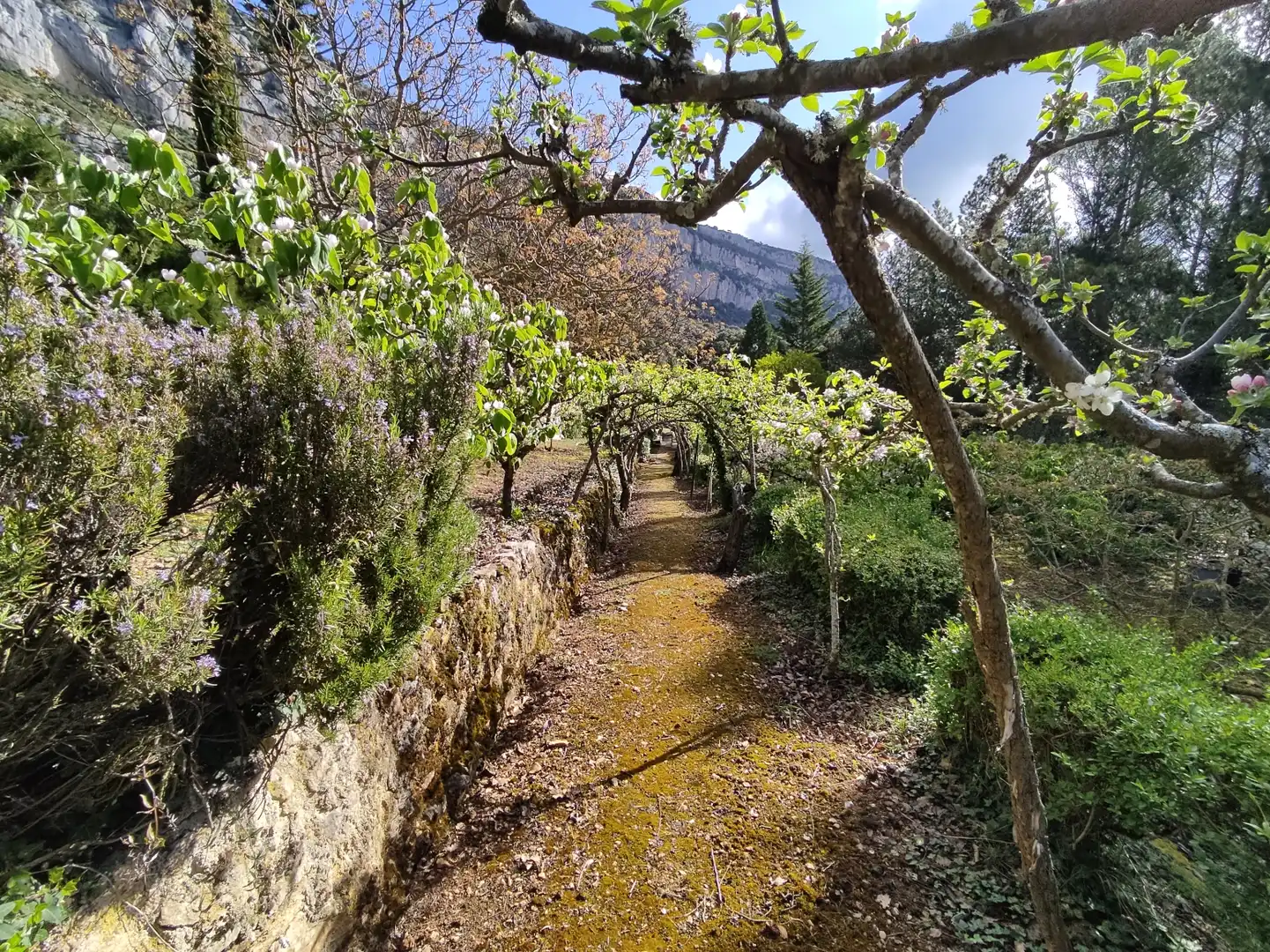 Jardín de Terreno en venta en Ciriza / Ziritza