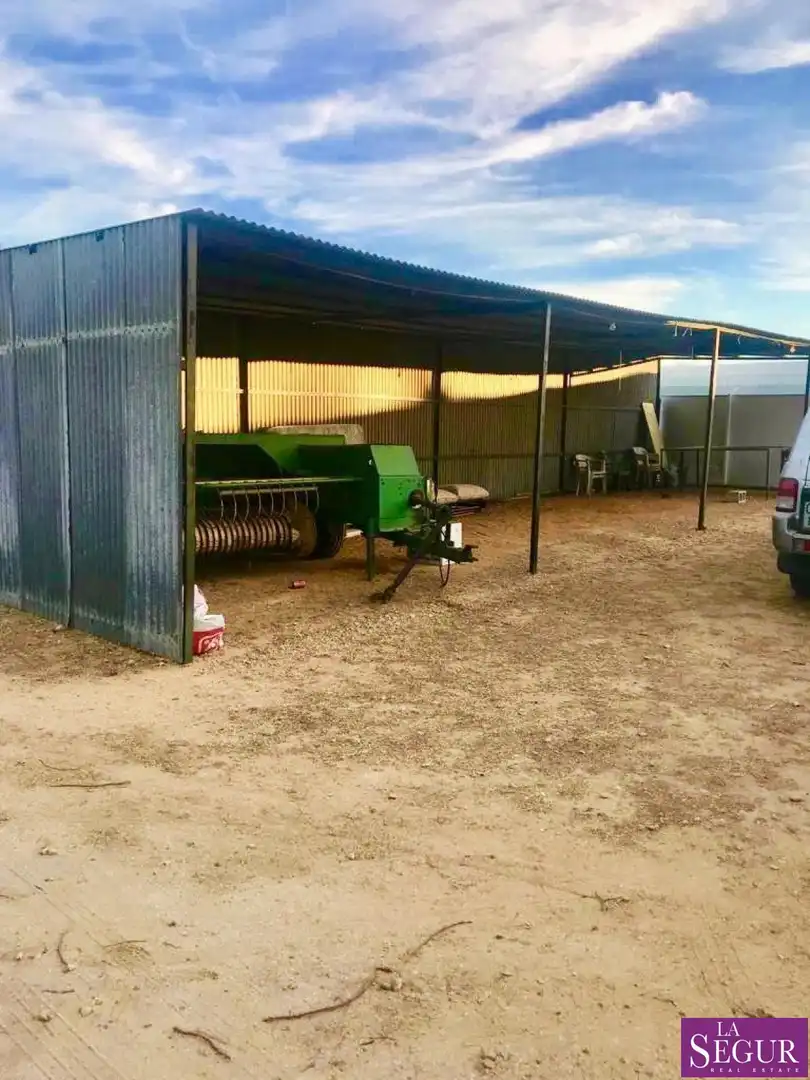 Casa rústica amb piscina en venda a Medina Sidonia, imagen 10