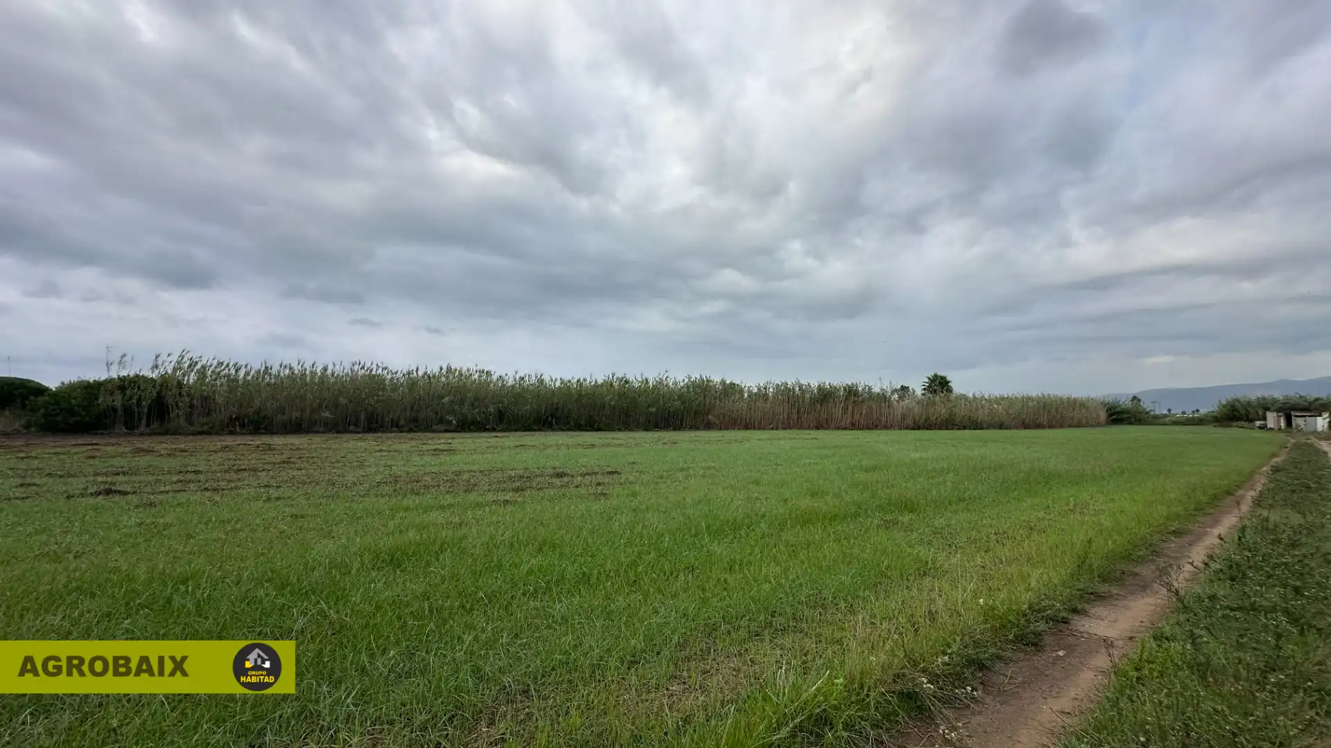 Rustikales Grundstück zum Verkauf in Torrent Ballester, imagen 7