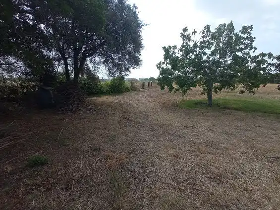 Residencial en venda en Constantí