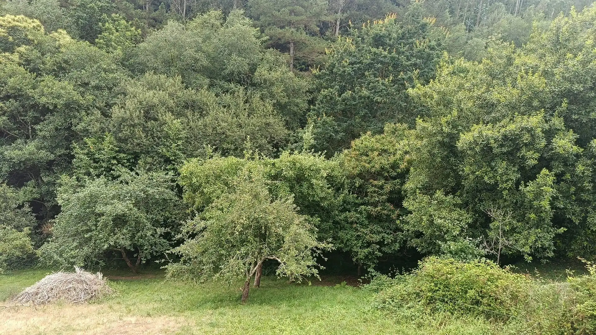 Maison avec jardin à vendre à Lugar Xuga 3D, imagen 12