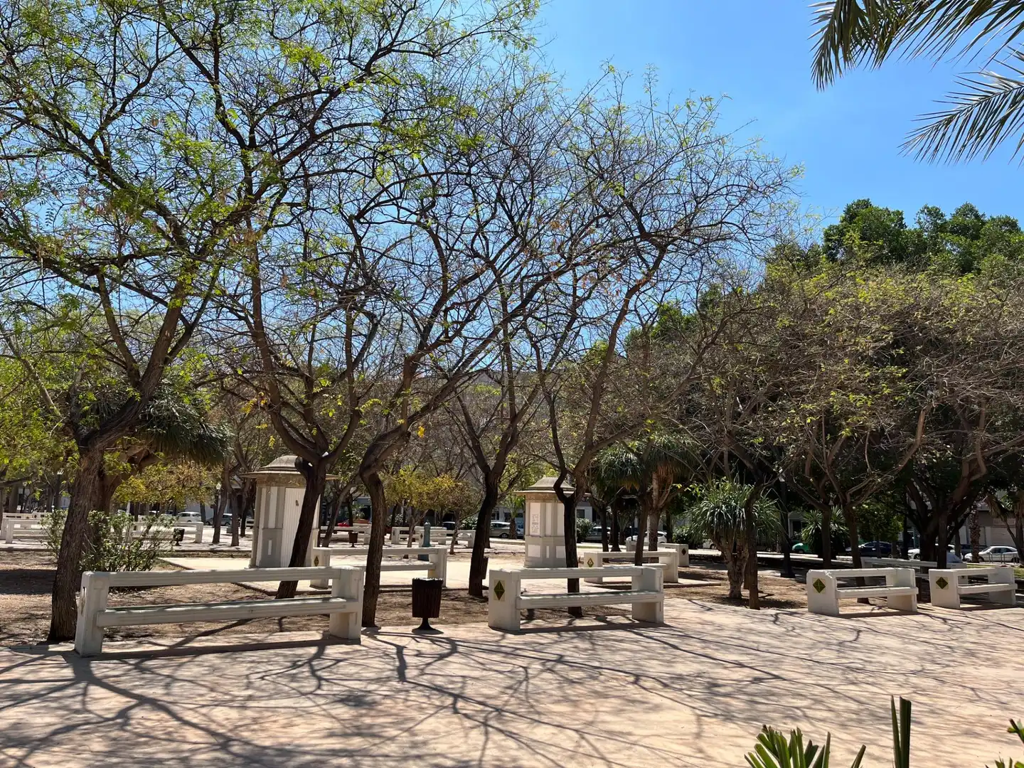 Wohnung mit Terrasse zum Verkauf in Elche ciudad, imagen 18