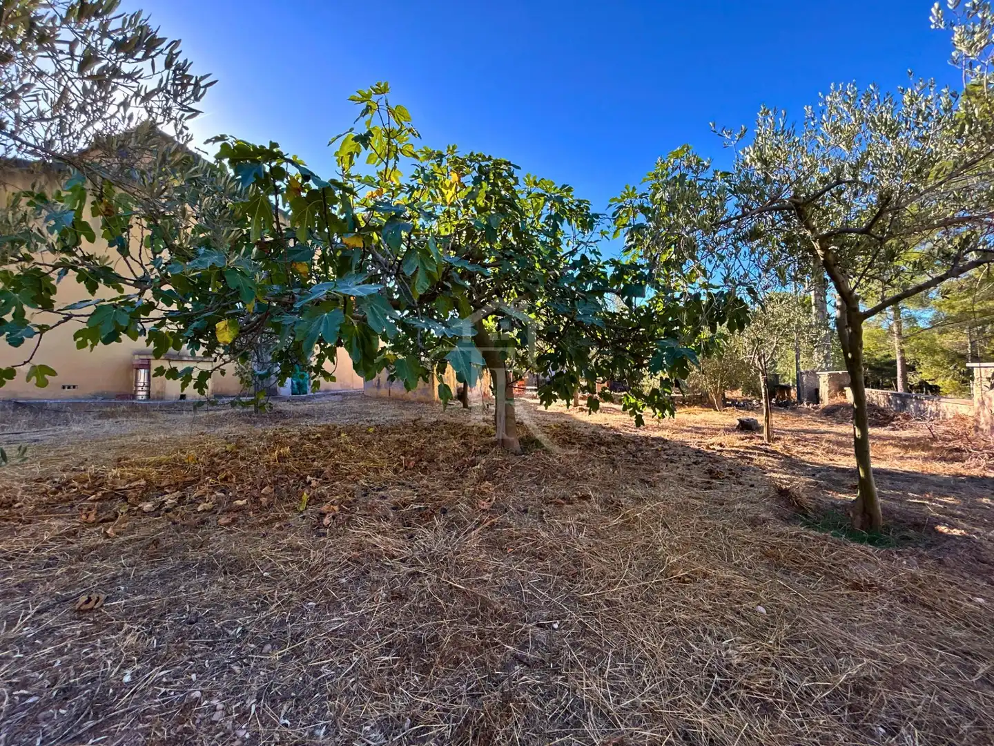 Villa avec piscine à vendre à Cabra del Camp, imagen 7