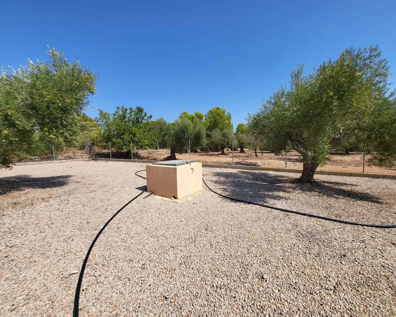 Landhaus mit Garten zum Verkauf in L'Ametlla de Mar pueblo, imagen 57