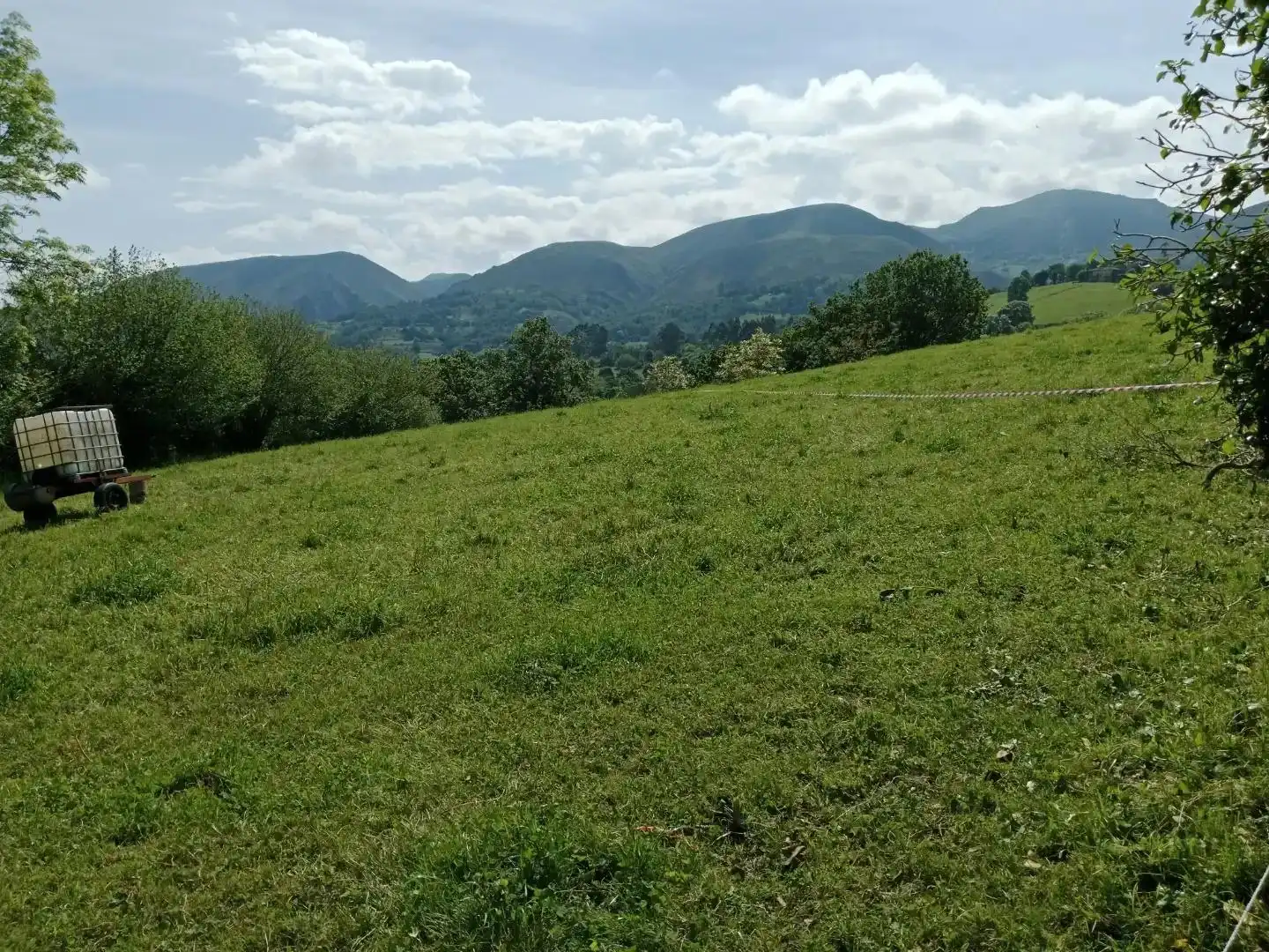 Grundstücke und Bauplätze zum Verkauf in Piloña, imagen 2