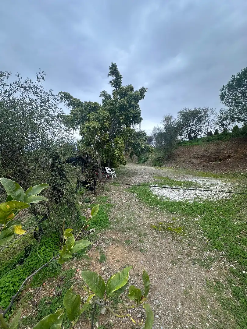 Houses for sale in Iznate