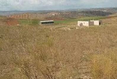 Photo 5 of Land for sale in Llera, Badajoz