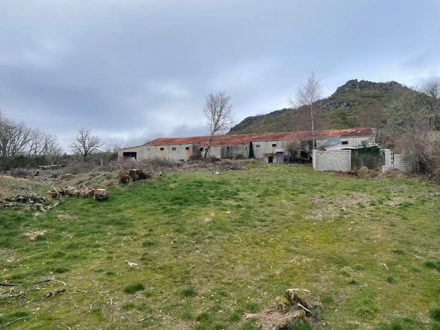 Land for sale in Baltar