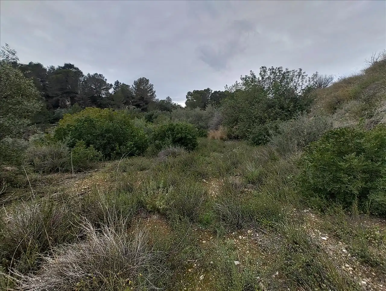 Terreno residencial en venta en Cantalars, Pol.9, Parc. 123(A,B,C Y D) Y Parcela 233. Barranco De Montell, imagen 12