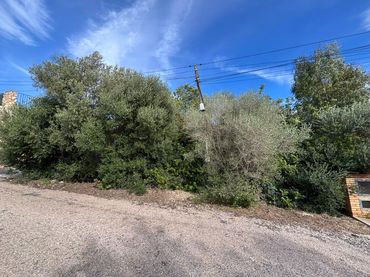 Terreny residencial en venda a Alginet