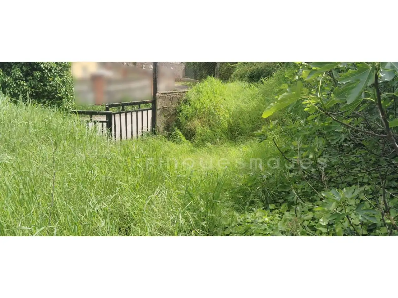 Rural land for sale in Vacarisses, imagen 4