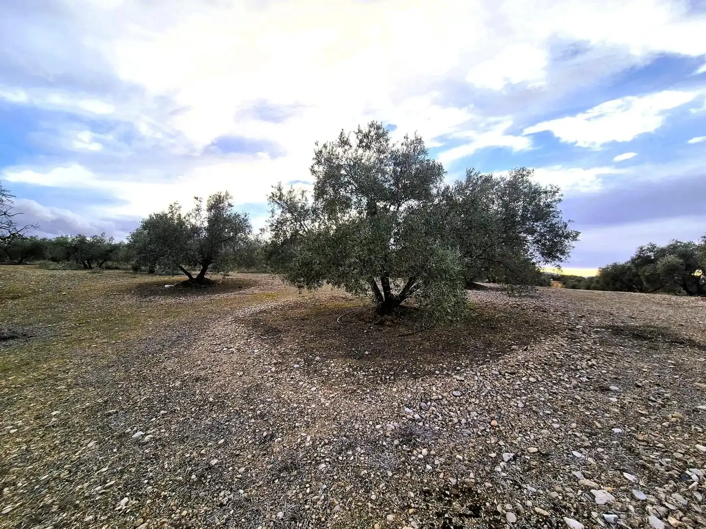 Rural land for sale in Huétor Tájar, imagen 2