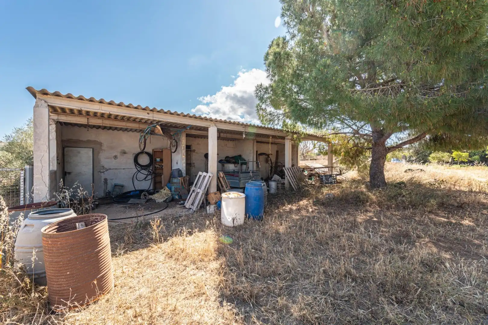 Terreno rustico in vendita a Felanitx Poble, imagen 6