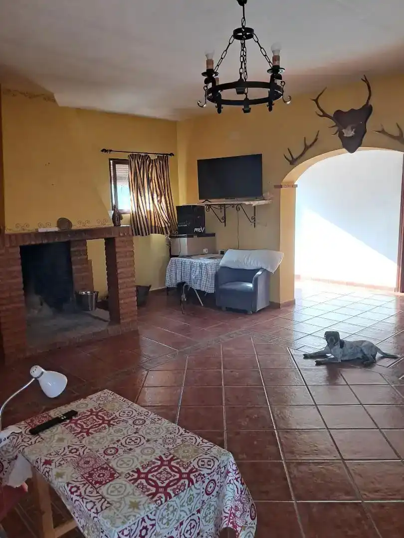 Sala de estar de Casa o chalet en venta en Montoro