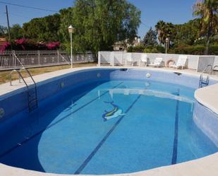 Swimming pool of House or chalet for sale in Elche / Elx