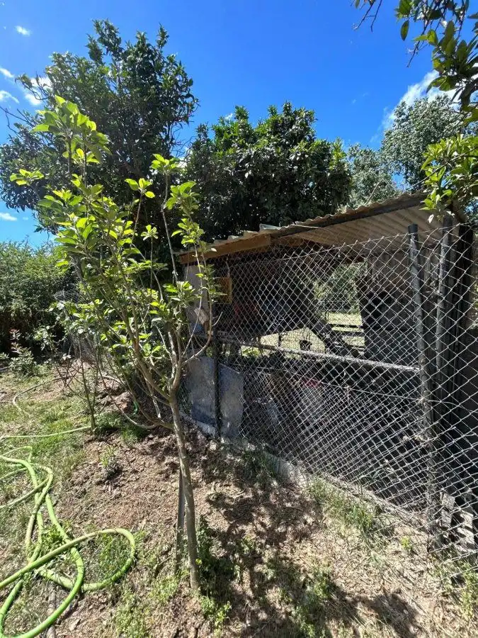 Jardí de Finca rústica en venda en San Martín del Tesorillo amb Terrassa