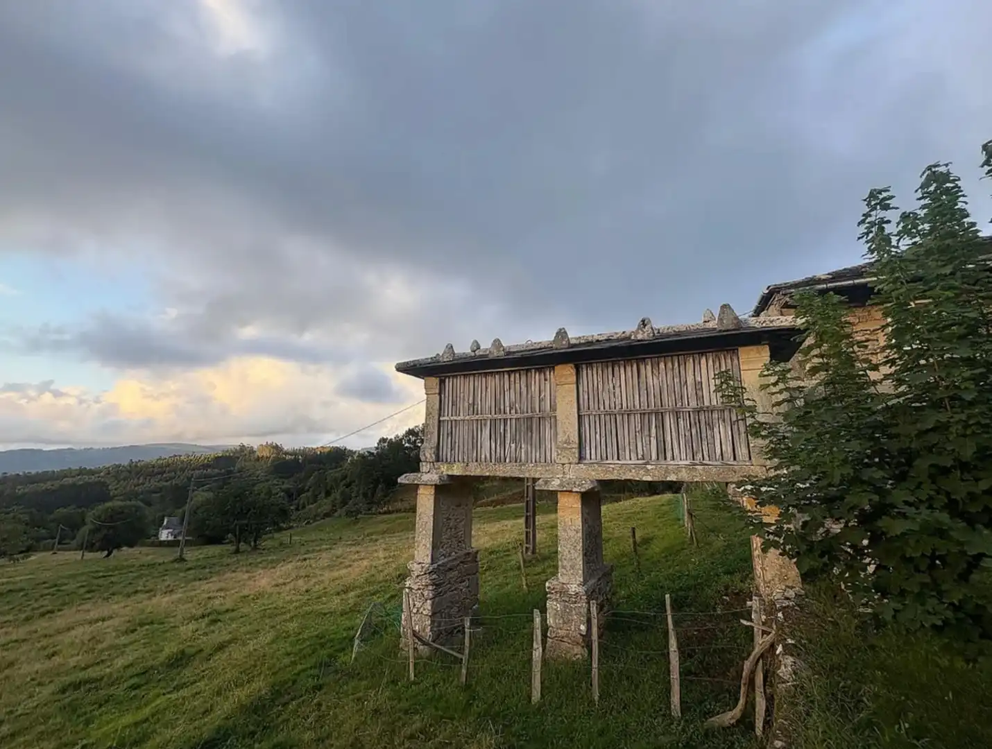 Vista exterior de Finca rústica en venda en Viveiro amb Jardí privat