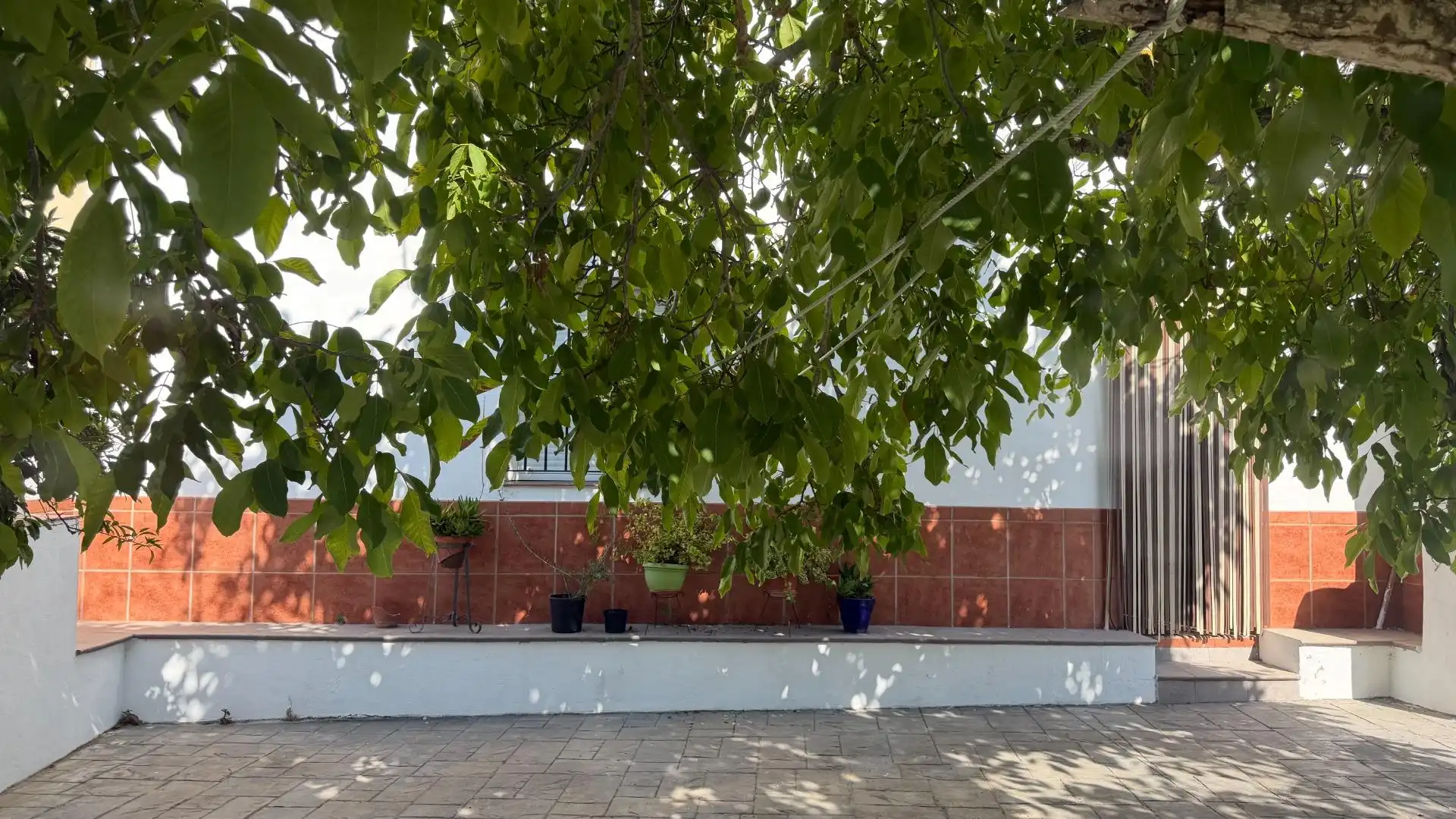 Vista exterior de Terreno en venta en Alosno