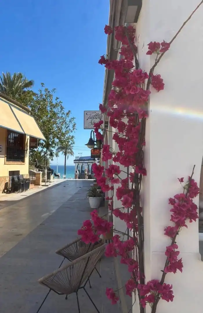 Attic for sale in Pilar de la Horadada