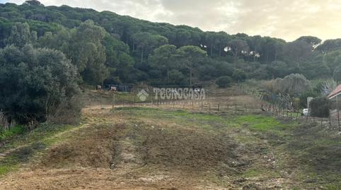 Photo 4 of Residential for sale in Zahora, Barbate