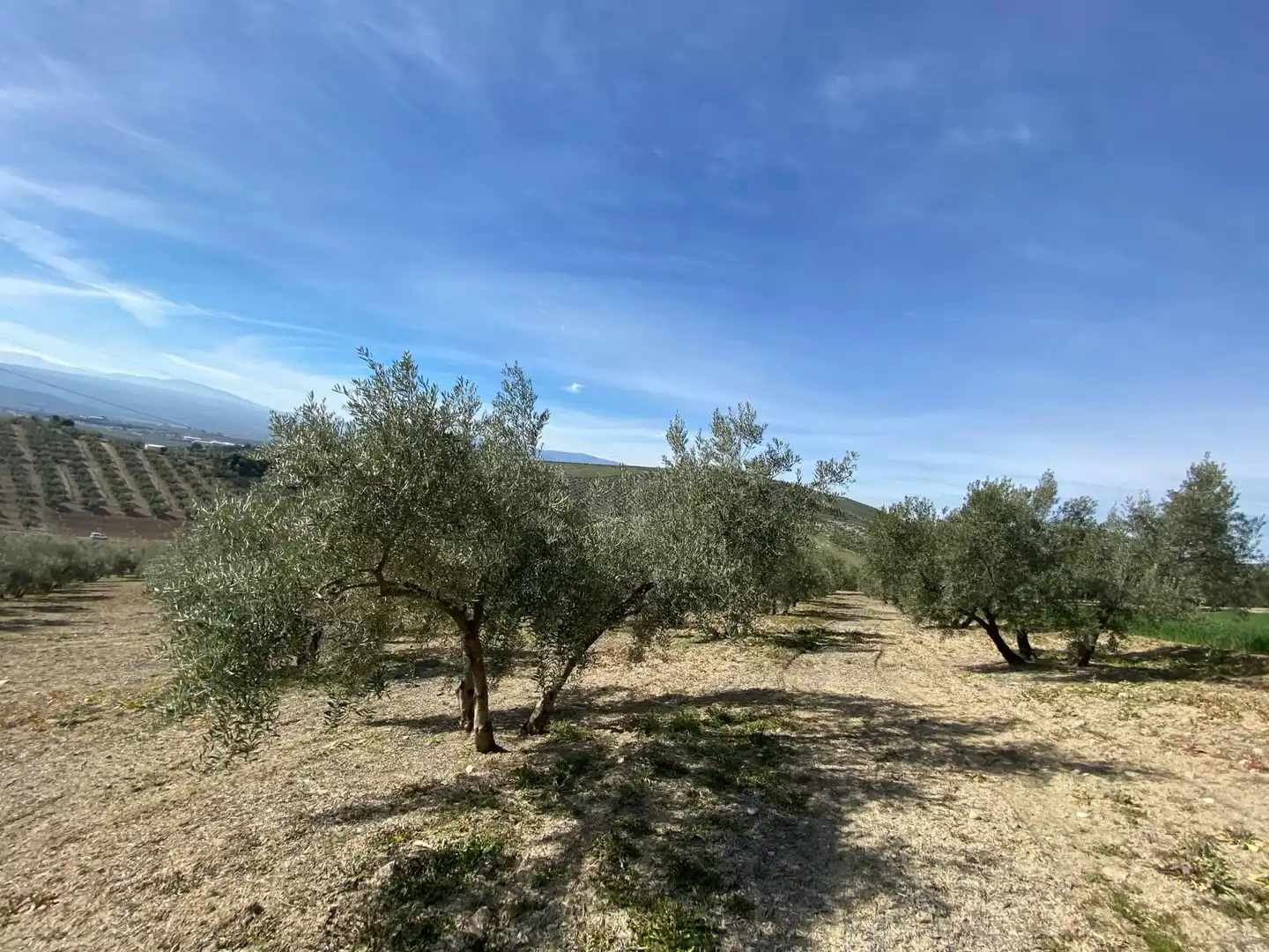 Terreno en venta en Villanueva Mesía