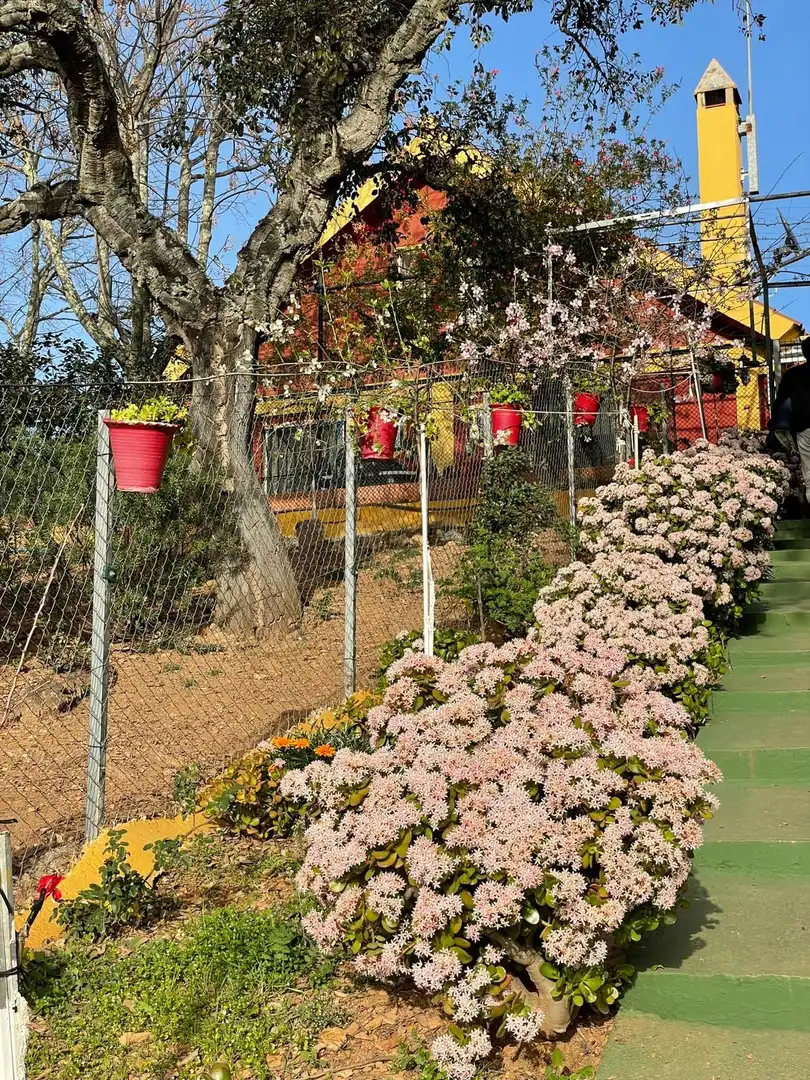 Jardín de Terreno en venta en Berrocal