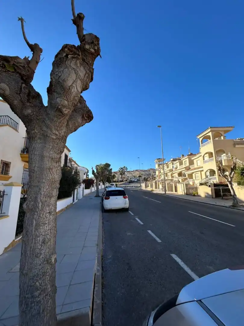 Vista exterior de Casa adosada en venta en Pilar de la Horadada con Calefacción, Terraza y Trastero