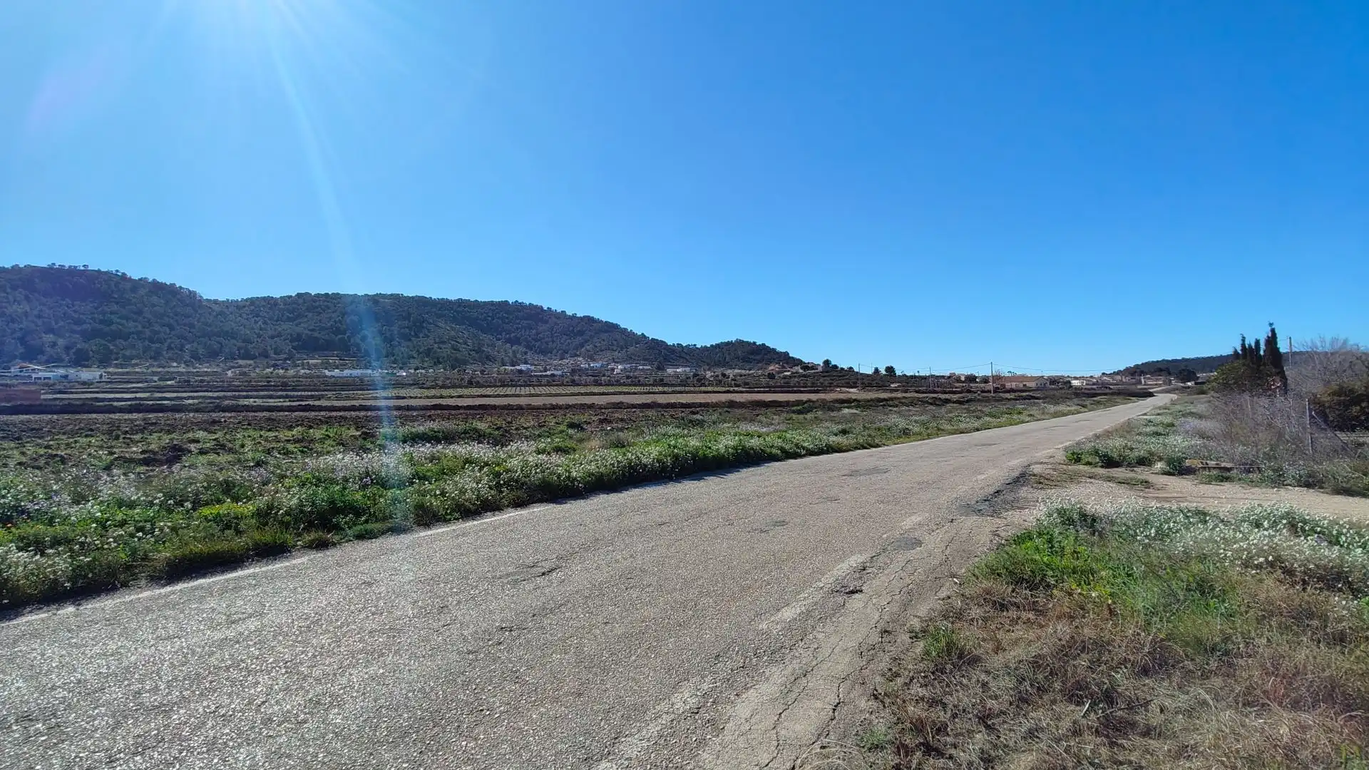 Lands and plots for sale in Abanilla, imagen 2