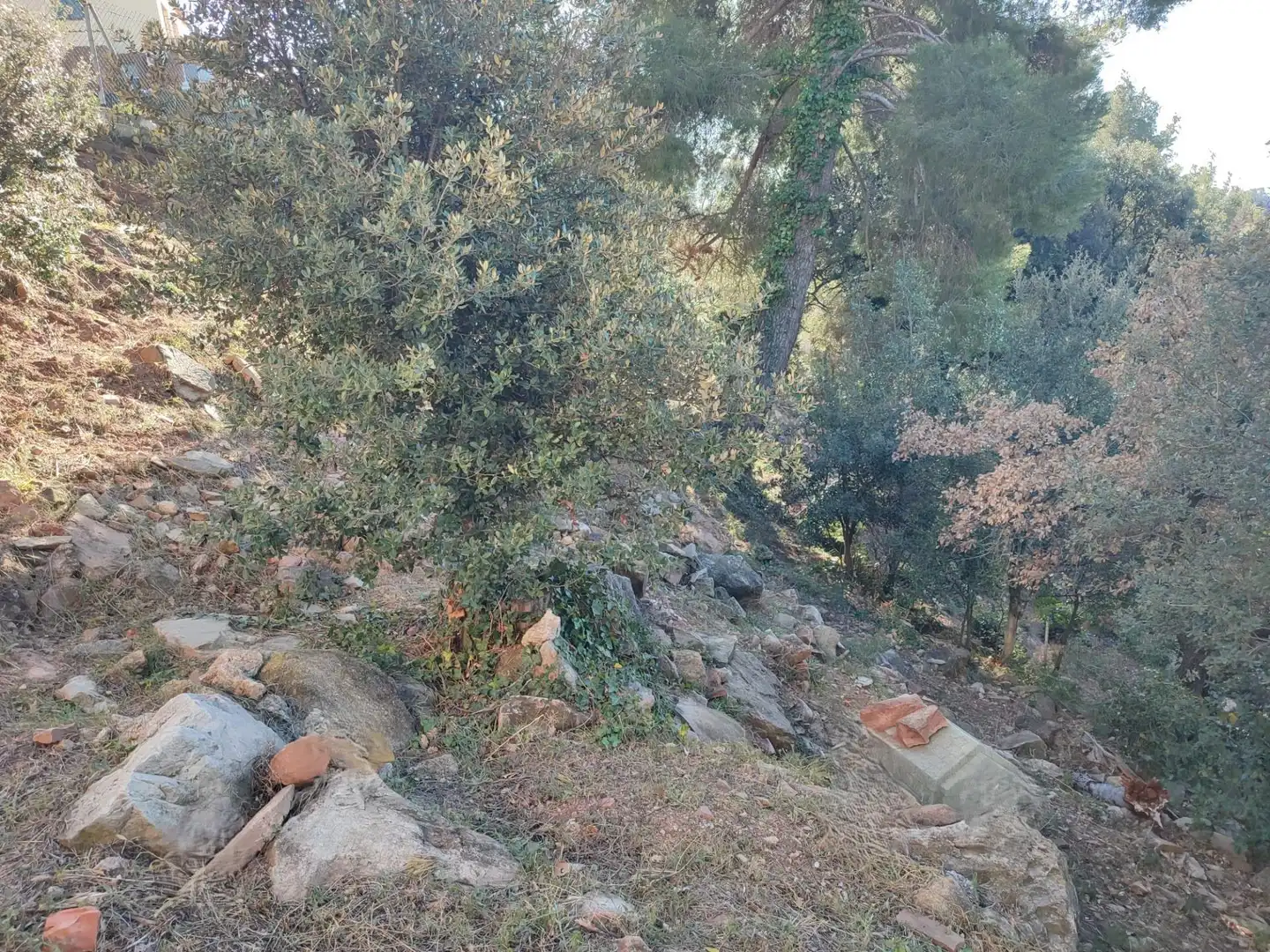Terreny residencial en venda a L'Ametlla del Vallès, imagen 6