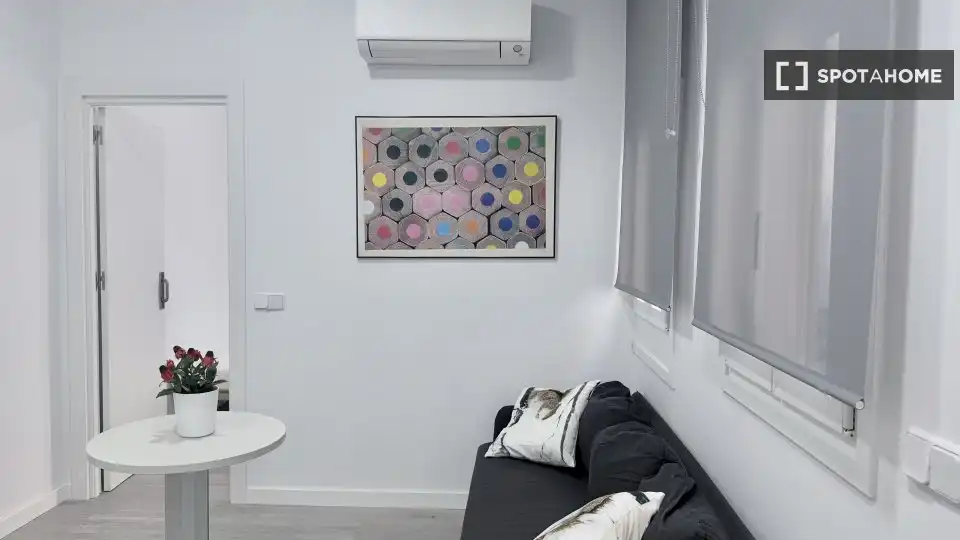 Appartamento con terrazza in affitto a Barrio de Salamanca